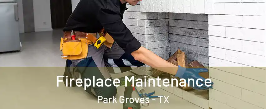 Fireplace Maintenance Park Groves - TX