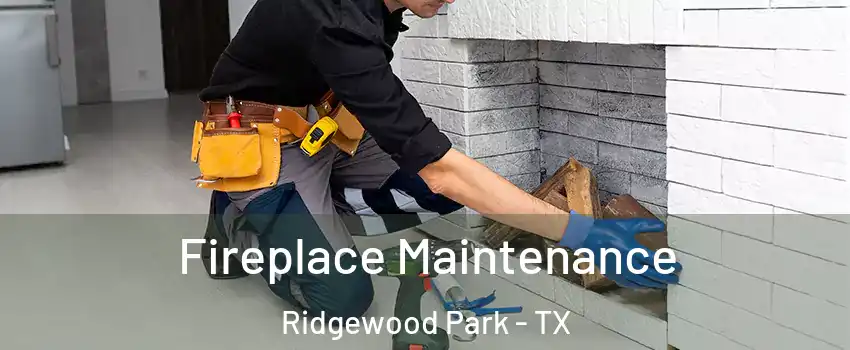 Fireplace Maintenance Ridgewood Park - TX