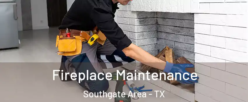 Fireplace Maintenance Southgate Area - TX