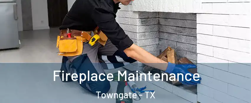 Fireplace Maintenance Towngate - TX