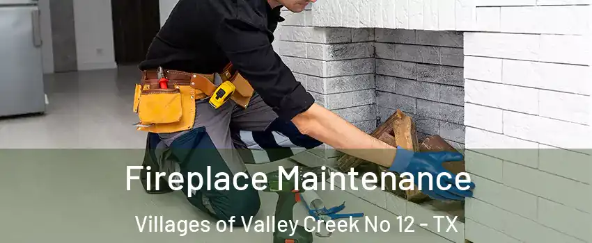 Fireplace Maintenance Villages of Valley Creek No 12 - TX