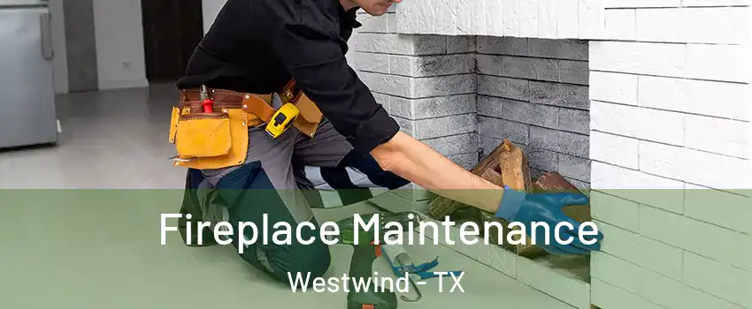 Fireplace Maintenance Westwind - TX