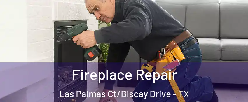 Fireplace Repair Las Palmas Ct/Biscay Drive - TX