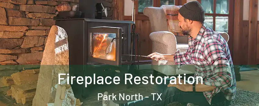 Fireplace Restoration Park North - TX