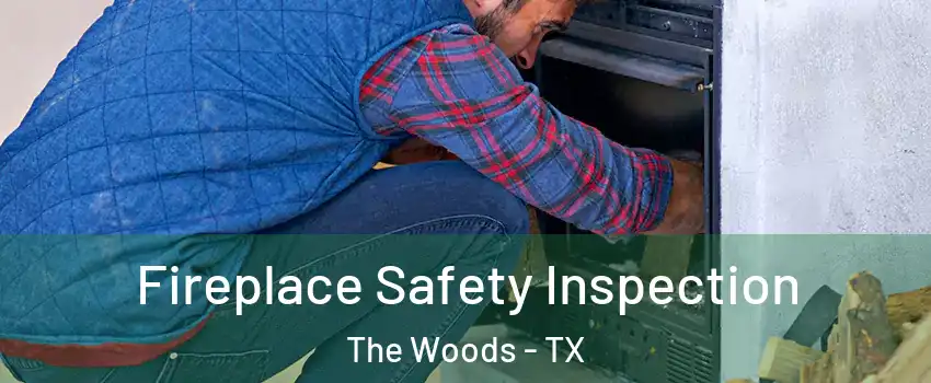 Fireplace Safety Inspection The Woods - TX