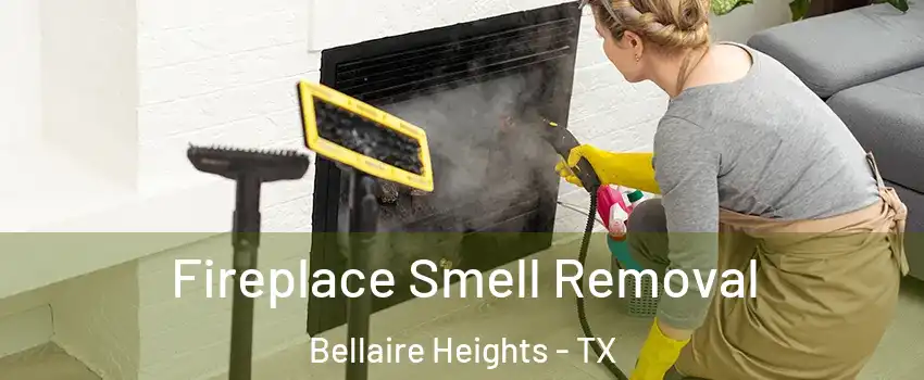 Fireplace Smell Removal Bellaire Heights - TX