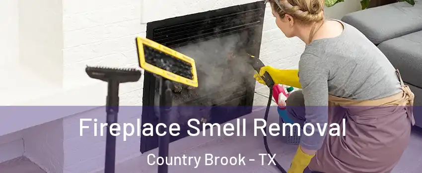 Fireplace Smell Removal Country Brook - TX