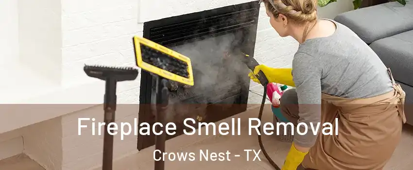 Fireplace Smell Removal Crows Nest - TX