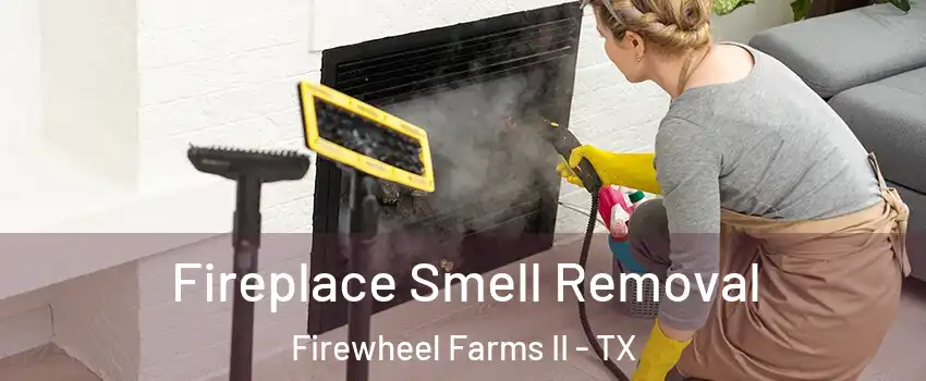 Fireplace Smell Removal Firewheel Farms II - TX