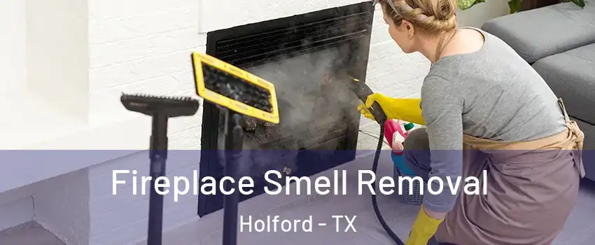 Fireplace Smell Removal Holford - TX
