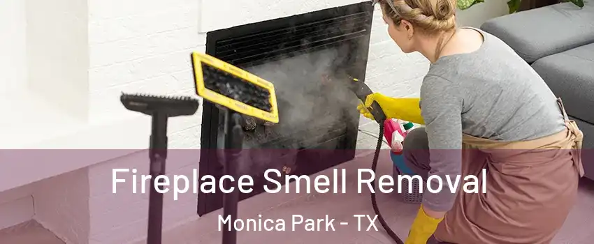 Fireplace Smell Removal Monica Park - TX