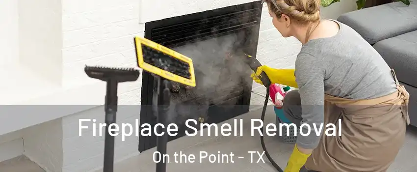 Fireplace Smell Removal On the Point - TX