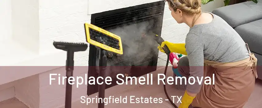 Fireplace Smell Removal Springfield Estates - TX