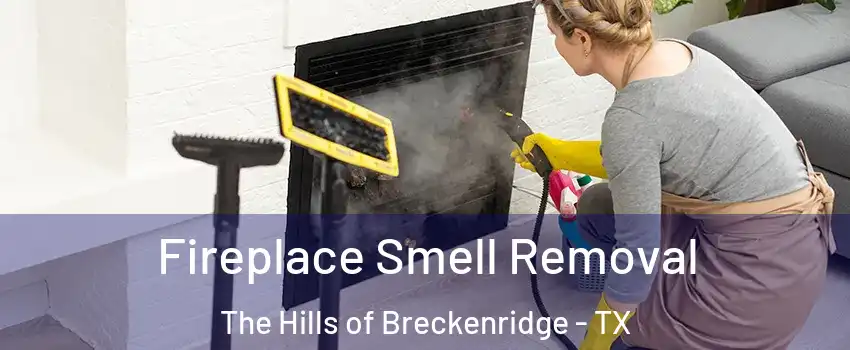 Fireplace Smell Removal The Hills of Breckenridge - TX