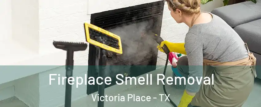 Fireplace Smell Removal Victoria Place - TX