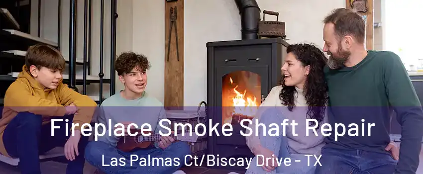 Fireplace Smoke Shaft Repair Las Palmas Ct/Biscay Drive - TX