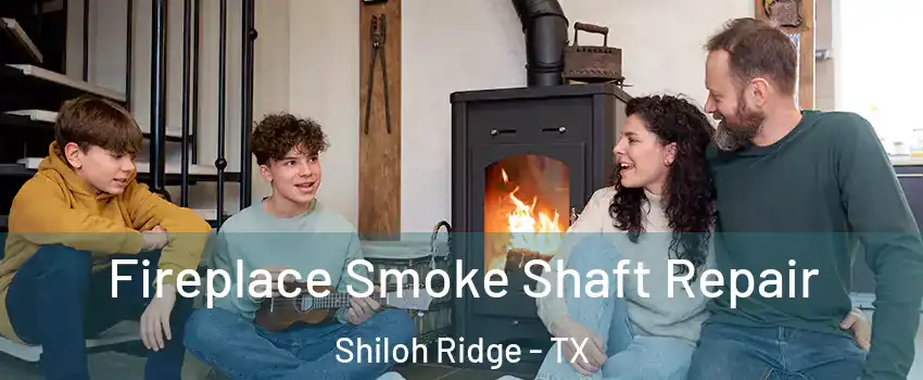 Fireplace Smoke Shaft Repair Shiloh Ridge - TX