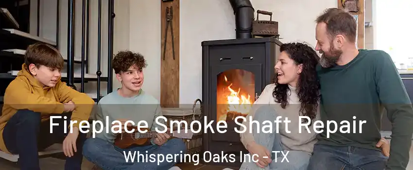 Fireplace Smoke Shaft Repair Whispering Oaks Inc - TX