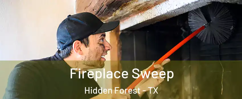 Fireplace Sweep Hidden Forest - TX
