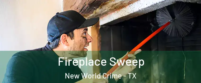 Fireplace Sweep New World Crime - TX