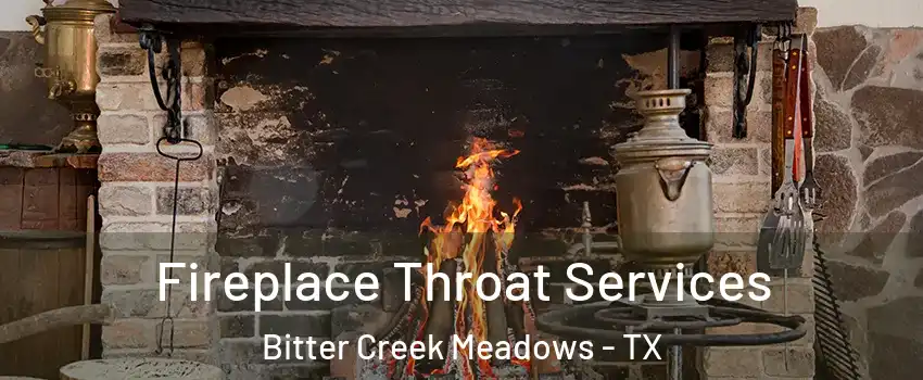 Fireplace Throat Services Bitter Creek Meadows - TX