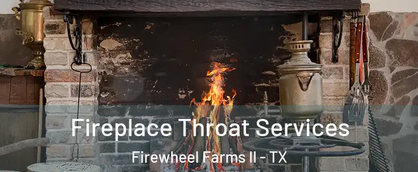 Fireplace Throat Services Firewheel Farms II - TX