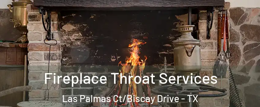 Fireplace Throat Services Las Palmas Ct/Biscay Drive - TX