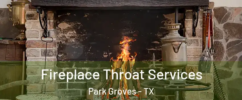 Fireplace Throat Services Park Groves - TX