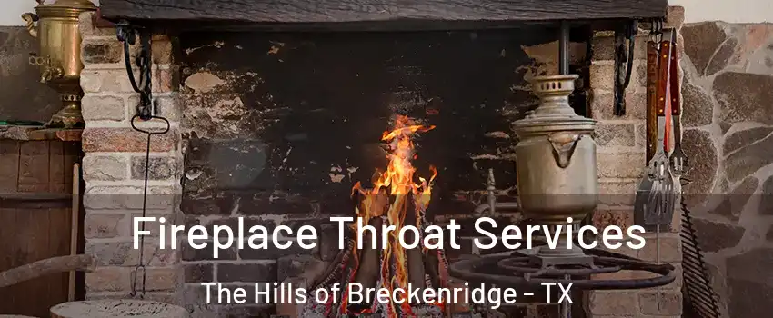 Fireplace Throat Services The Hills of Breckenridge - TX