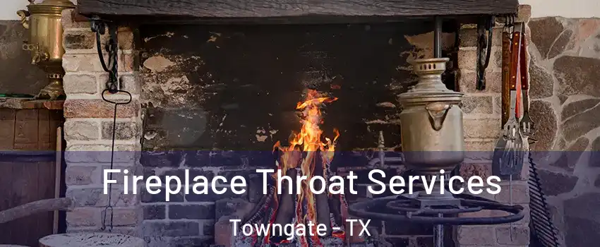 Fireplace Throat Services Towngate - TX