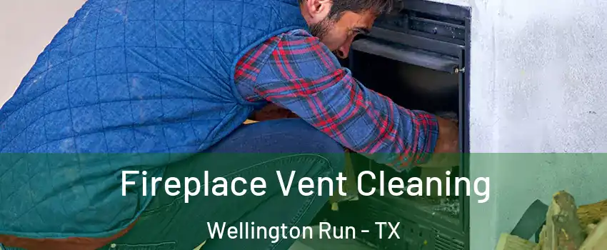 Fireplace Vent Cleaning Wellington Run - TX