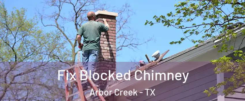 Fix Blocked Chimney Arbor Creek - TX