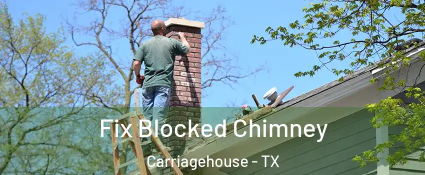 Fix Blocked Chimney Carriagehouse - TX