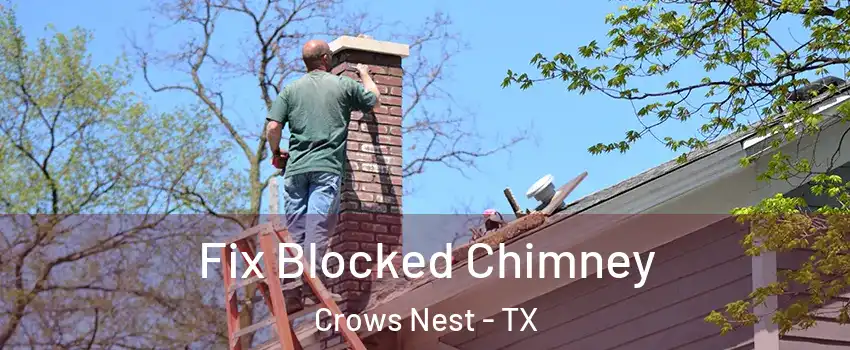 Fix Blocked Chimney Crows Nest - TX