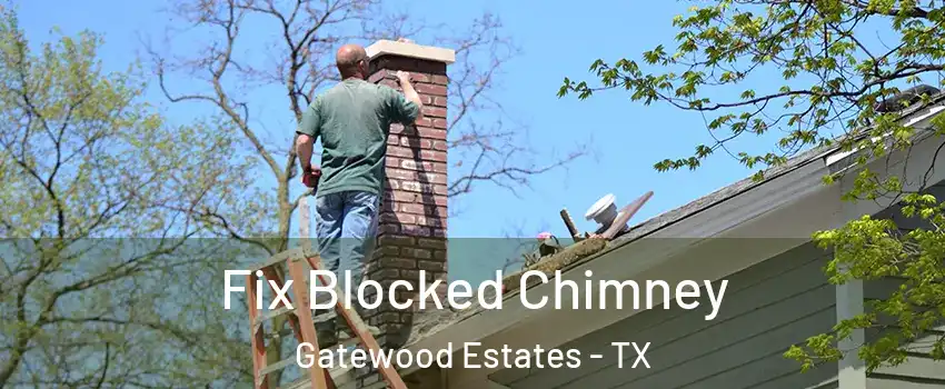 Fix Blocked Chimney Gatewood Estates - TX