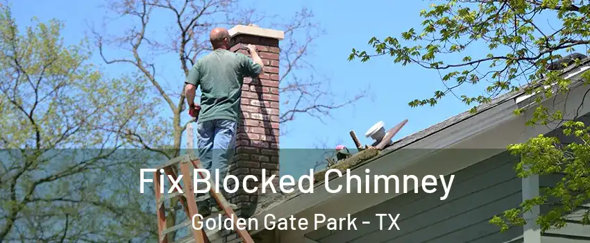 Fix Blocked Chimney Golden Gate Park - TX
