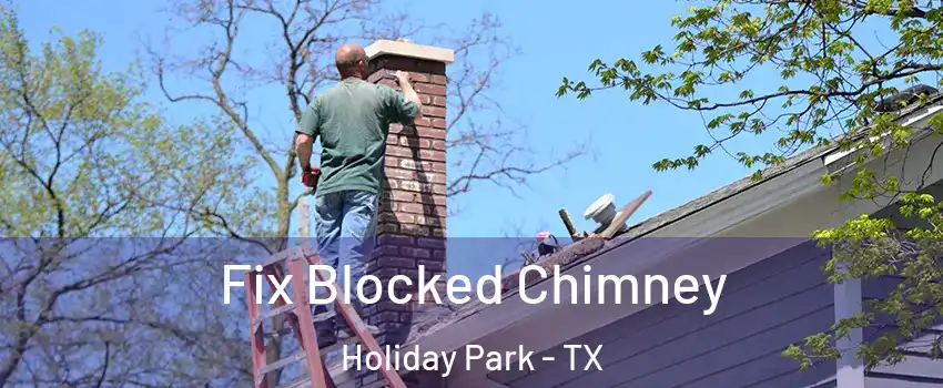 Fix Blocked Chimney Holiday Park - TX