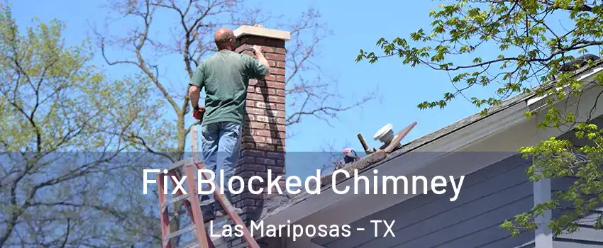 Fix Blocked Chimney Las Mariposas - TX