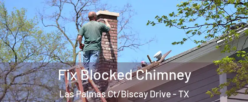 Fix Blocked Chimney Las Palmas Ct/Biscay Drive - TX