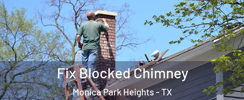 Fix Blocked Chimney Monica Park Heights - TX