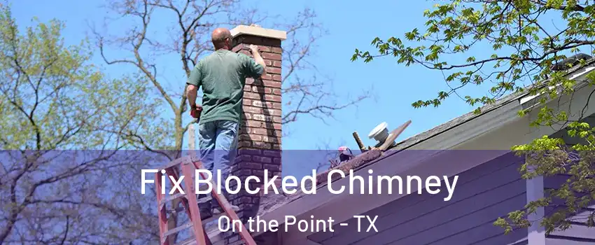 Fix Blocked Chimney On the Point - TX