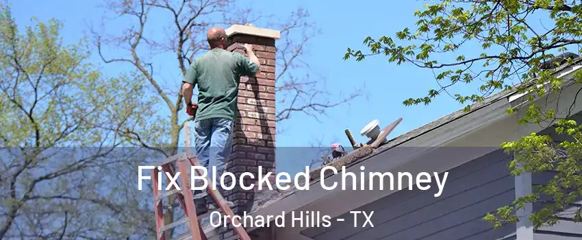 Fix Blocked Chimney Orchard Hills - TX