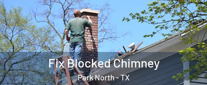 Fix Blocked Chimney Park North - TX