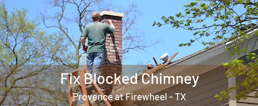 Fix Blocked Chimney Provence at Firewheel - TX