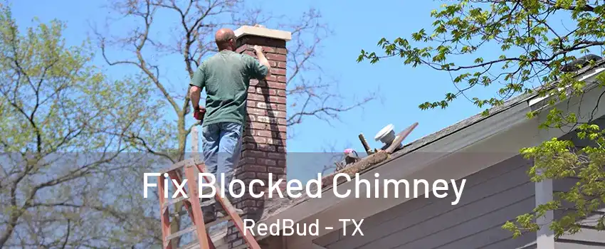 Fix Blocked Chimney RedBud - TX