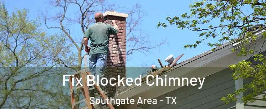 Fix Blocked Chimney Southgate Area - TX