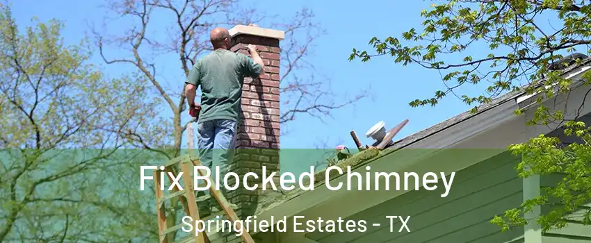 Fix Blocked Chimney Springfield Estates - TX