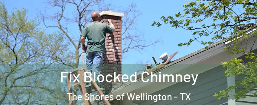Fix Blocked Chimney The Shores of Wellington - TX