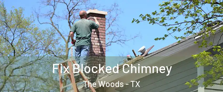Fix Blocked Chimney The Woods - TX