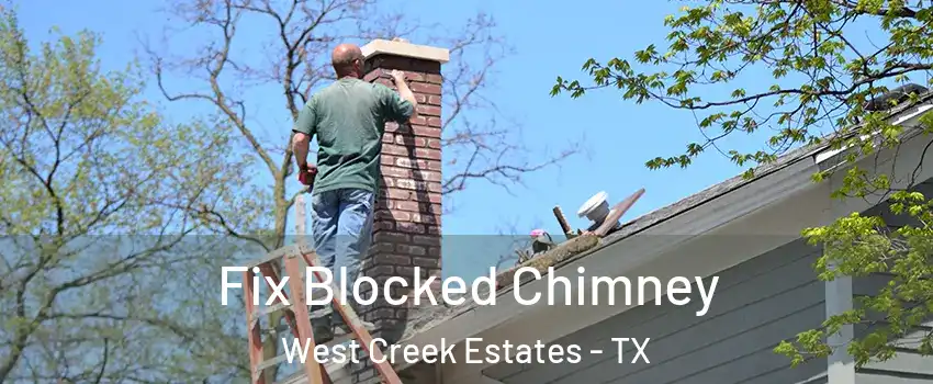 Fix Blocked Chimney West Creek Estates - TX